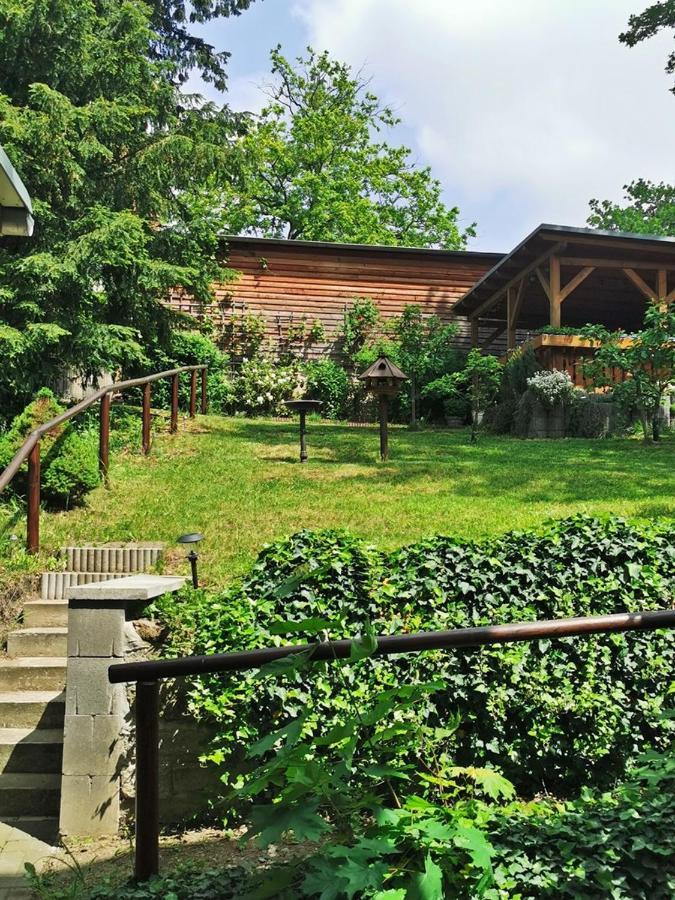 Pension Ginko Wernigerode Bagian luar foto